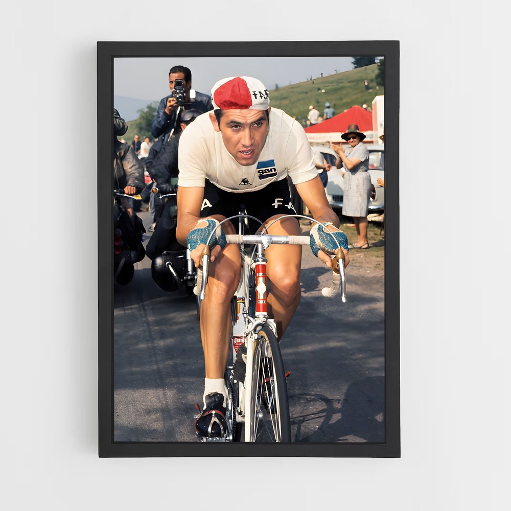 Poster Eddy de merckx – affiche Cyclisme (vue 2)